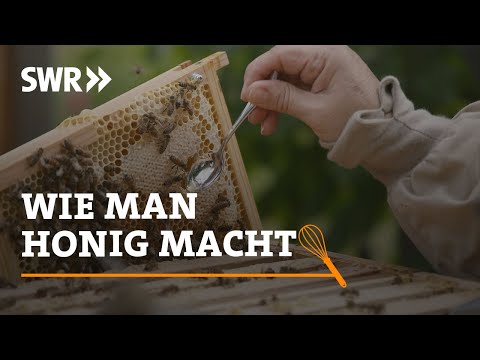 How to make honey | SWR Craftsmanship