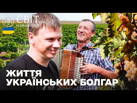 Українська Бессарабія: секрети виноробства і традиції болгар! Світ навиворіт. Україна 6 випуск