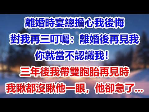 離婚時，宴總擔心我後悔對我再三叮囑：離婚後再見我，你就當不認識我！三年後我帶雙胞胎再見時，我瞅都沒瞅他一眼，他卻急了#為人處世#生活經驗#情感故事#故事#小說#戀愛#情感#婚姻