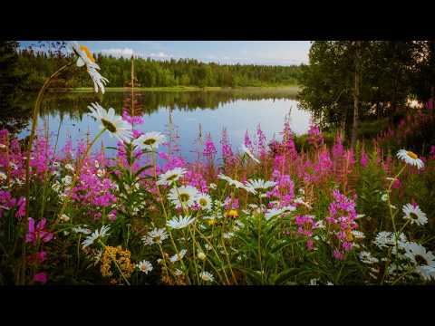 Очень Нежная Музыка Любви, Сборник самых невероятных мелодий! Божественная музыка трогает душу!