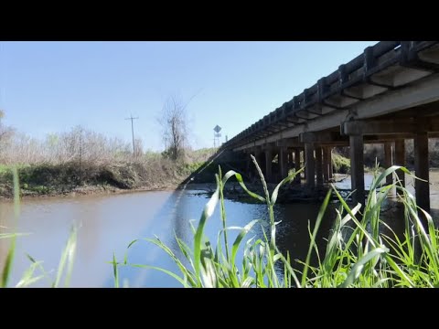 Body found in Acadia Parish bayou; sheriff asks community to help identify woman