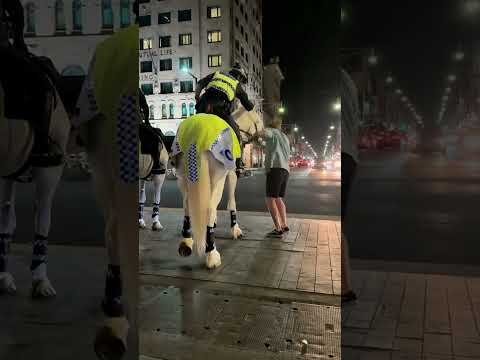 Funny Moments Gaught On Camera