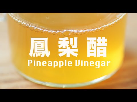 酒如何變成醋❓酒醋的前世今生⁉️如何自釀超好喝  How to Make Pineapple Vinegar @beanpandacook