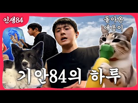 42세 기안84 브이로그