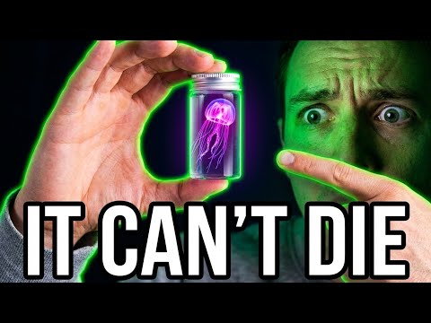 The Animal That Forgot How to Die