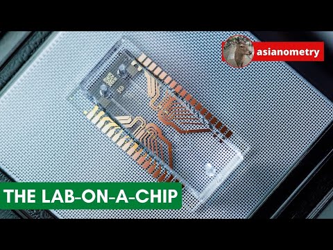 Microfluidics and the Elusive Lab-on-a-Chip