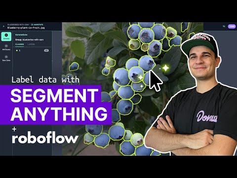 Label Data with Segment Anything Model (SAM) in Roboflow