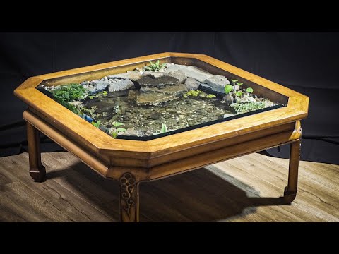 Pond in a Coffee Table