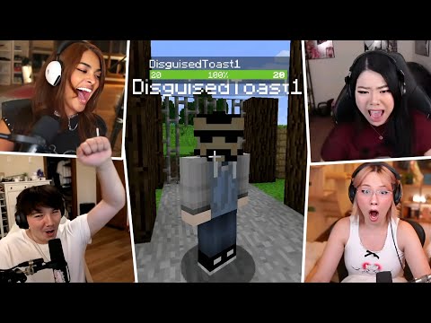 Toast Started a New Offlinetv Minecraft Server, and It Went Chaos