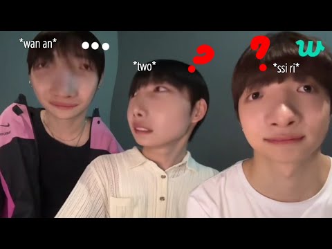 &TEAM vs Multilingualism