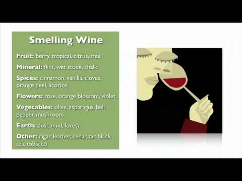 Wine Basics from My Wine Smarts