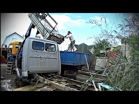 Killed Killed GAZELLE...