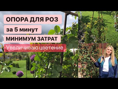ОПОРА ДЛЯ РОЗ ЗА 5 МИНУТ / ПО НОВОМУ ДЛЯ ПЫШНОСТИ / ОБЗОР РОЗ В САДУ 👌