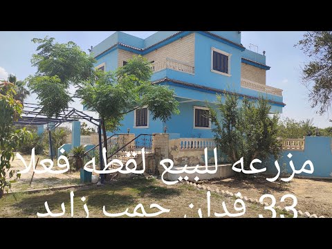 مزرعه 33 فدان مانجو وعنب مثمر عليها ڤيلا ومشاريع انتاجيه طريق مصر اسكندريه الصحراوي زراعات نموذجيه