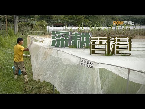 【經緯線】深耕香港