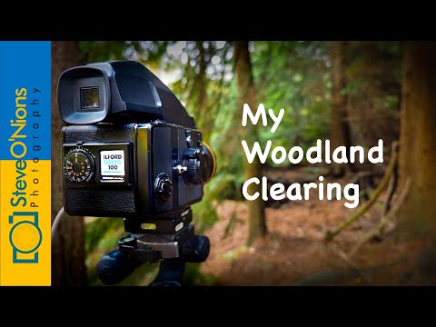 Focussing on one area