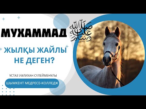 Ат жайлы хадисте сіз білмейтін сырлар