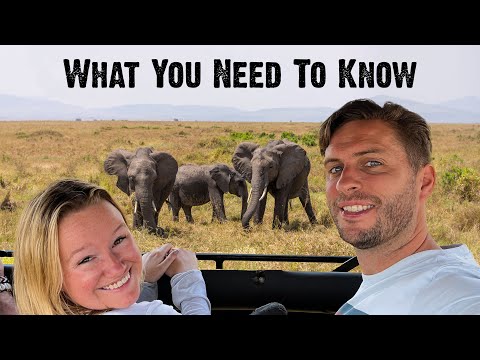 AFRICAN SAFARI - 20 Tips You Need To Know Beforehand