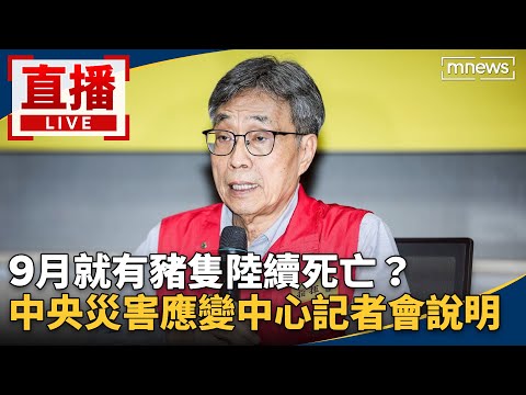 直播／9月就有豬隻陸續死亡？　中央災害應變中心記者會說明