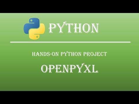 Hands-on Python Openpyxl Project