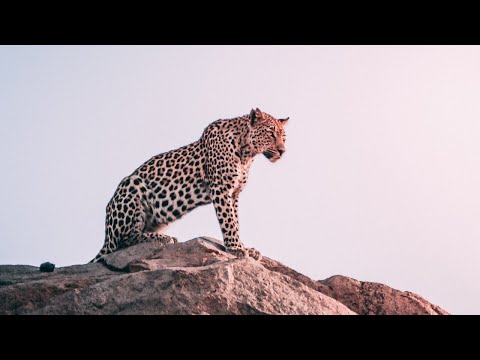 A Guide to React Native Optimisation