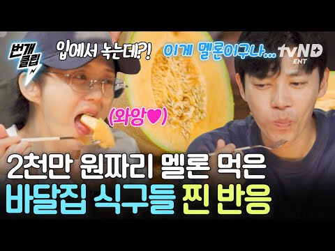 [#바다건너바퀴달린집북해도편] 멜론 하나에 무려 2천만 원?!🫢 북해도 최고급 과일 멜론 먹은 바달집 식구들의 찐 반응ㅋㅋ🍈 | #번개클립