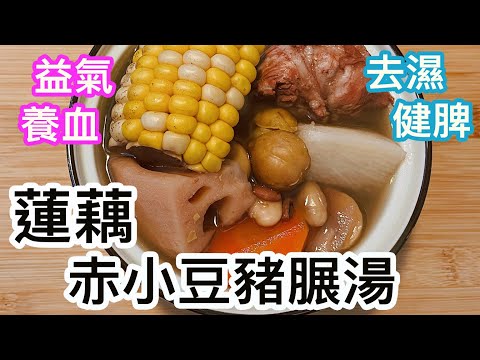 蓮藕赤小豆豬𦟌湯🥣春夏湯水✨去濕健脾💦益氣養血🩸鮮甜好飲😋簡單易煲👍🏻