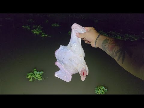 베트남 강에 생닭을 통째로 넣어 봤습니다..