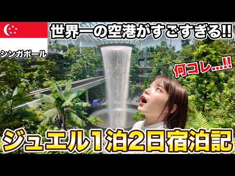 【完全ガイド】世界一のシンガポール空港にある『ジュエル』に泊まってみたら別世界だった‼️