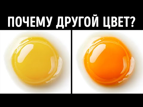 150+ удивительных фактов, которыми можно поделиться на следующей встрече