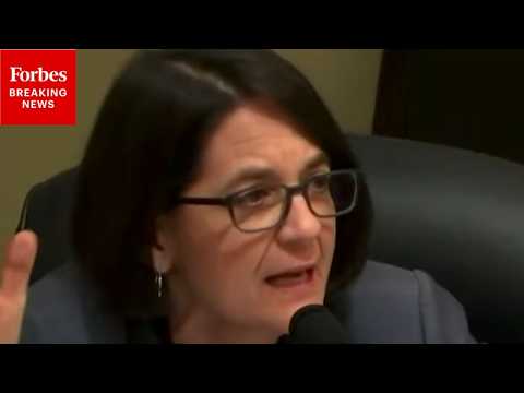 'Can We Please Just Put To Bed The Damn Marshmallow Test!': Balint Rips Marshmallow Test