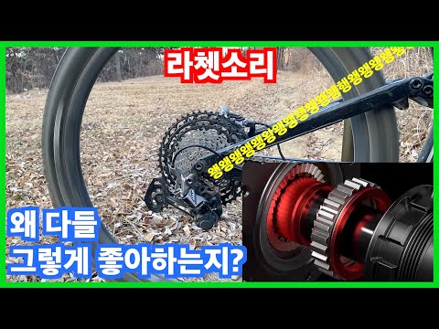 라쳇소리가 크고 아름다울수록 좋은 휠인 이유입니다. 근데 이제 반박을 곁들인