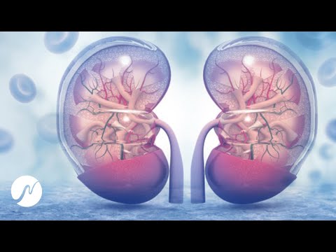 Frequencies for Detoxing - 625 Hz Natural Kidney Cleanse