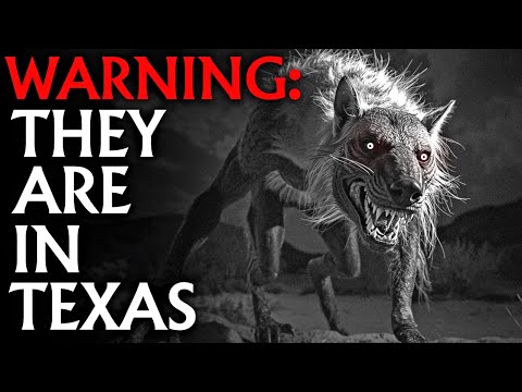 U.S. Navy SEALs SPILLS the BEANS About 'CREATURE' They KILLED in Texas Hill Country.