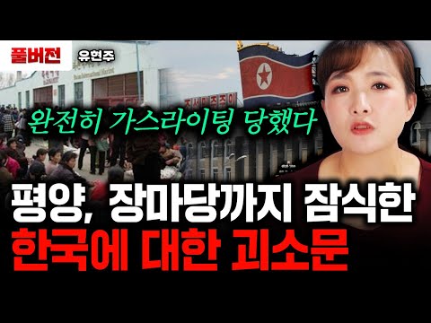 "완전히 가스라이팅 당했다" 평양, 장마당까지 싹다 퍼진 한국에 대한 괴소문｜유현주 풀버전