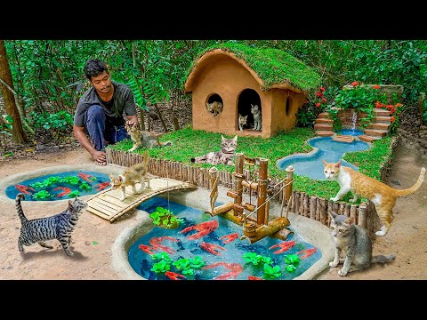 Rescue Abandoned Cats Building Mud House And Fish Pond For Crayfish