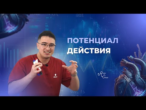 Потенциал действия синусового узла и рабочего кардиомиоцита