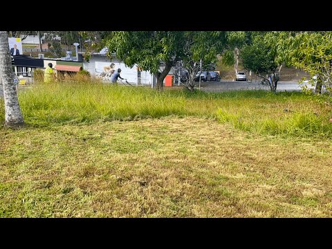 Her husband PASSED… and the YARD became the Neighborhood’s EYESORE