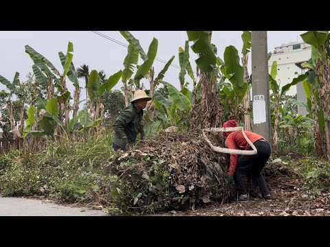 Amazing Transformation: Cleaning a Filthy, Weedy Sidewalk Full of Trash in a Rich Neighborhood.