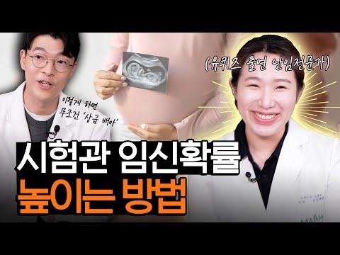 시험관 시술, 임신 확률을 높이는 방법이 있을까? (난임전문가 남궁혜륜 원장님)