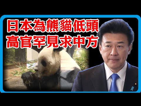 53年來首次，日高官求中方一件事，不到24小時，高市涉台措詞變了！#竇文濤 #中日 #琉球#紀實 #經濟 #歷史 #聊天 #推薦 #熱門#日本#熊猫 #台湾