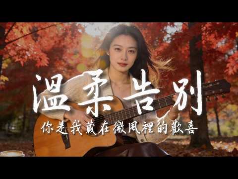 【溫柔告別】｜2025超好聽華語抒情歌单｜工作・放鬆・疗愈最佳背景音樂 |原創民謠抒情歌曲✨｜舒緩療愈系歌單 🎧 #华语民谣 #疗愈歌曲 #民謠吉他 #華語流行歌曲#讀書音樂#放鬆音樂