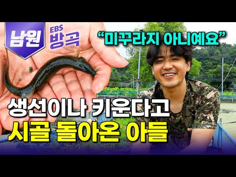[전북 남원] "똑같이 생겼는데 값은 두 배" 중국에서 치어 한 마리 사 오더니 장가도 안 간 손자가 생선 키운다고 시골을 안 떠난다｜토종 미꾸리 양식장｜#한국기행 #방방곡곡