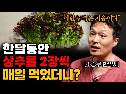 "의사들이 깜짝 놀랍니다"  상추를 매일 먹었더니 일어난 놀라운 변화 (조승우 한약사)
