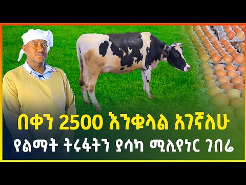 የልማት ትሩፋትን ያሳካ የዘመናችን ታታሪ ሚሊየነር ገበሬ | በቀን 2500 እንቁላል አገኛለሁ ! | የዶሮ እርባታ ስራ |chicken farming|business