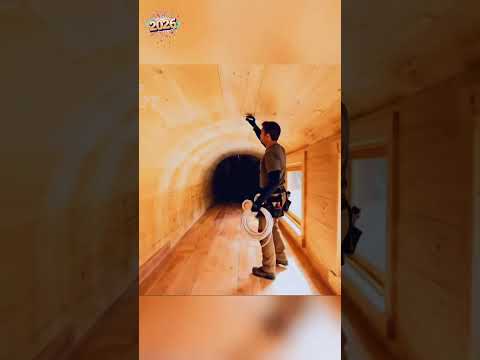 Make a cabin from a tree trunk by the stream #survival