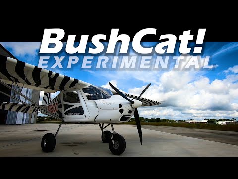 Kitplane! Skyreach Bushcat Aircraft - You Can Build and Afford FAST!