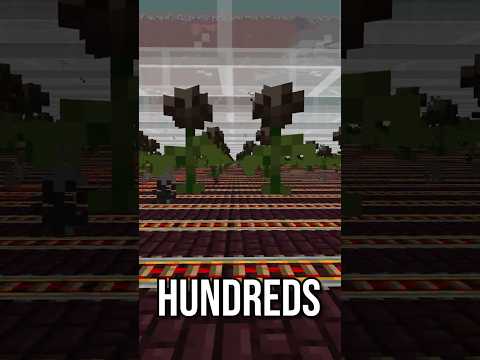 Why Are These Wither Roses Floating?