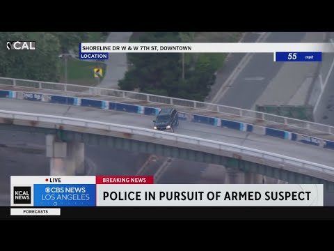 Wild pursuit ends in Long Beach crash