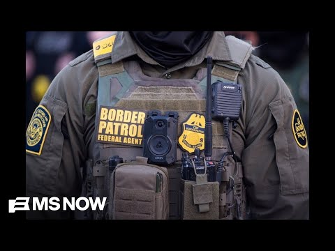 Immigration agents STORM New York family's home at gunpoint